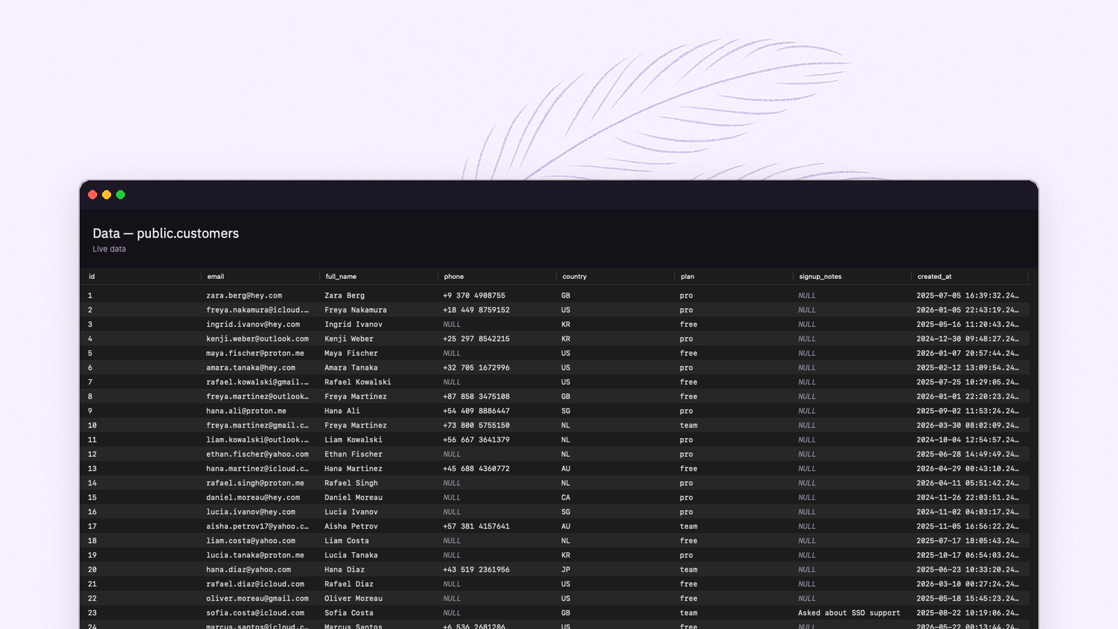 FeatherDB's data grid browsing a live customers table