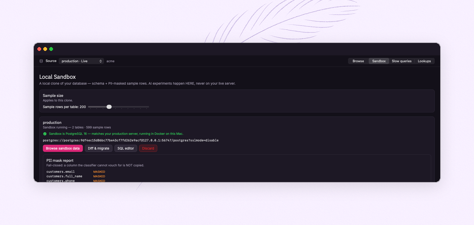 A running FeatherDB sandbox — PostgreSQL 16 in Docker, matching the production server — with its PII mask report: email, name and phone masked