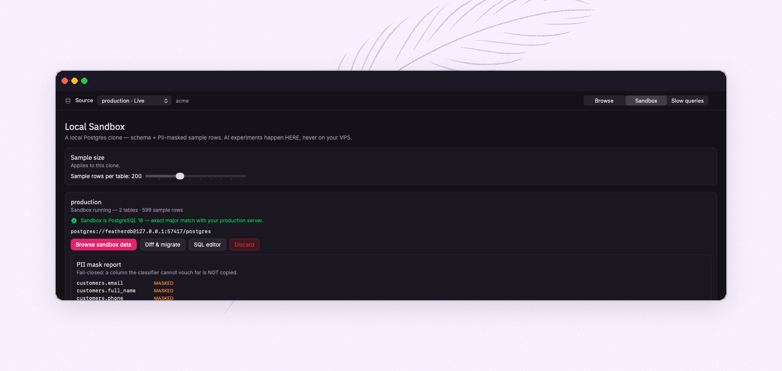 A running FeatherDB sandbox with its PII mask report: email, name and phone masked; country emptied; notes nulled
