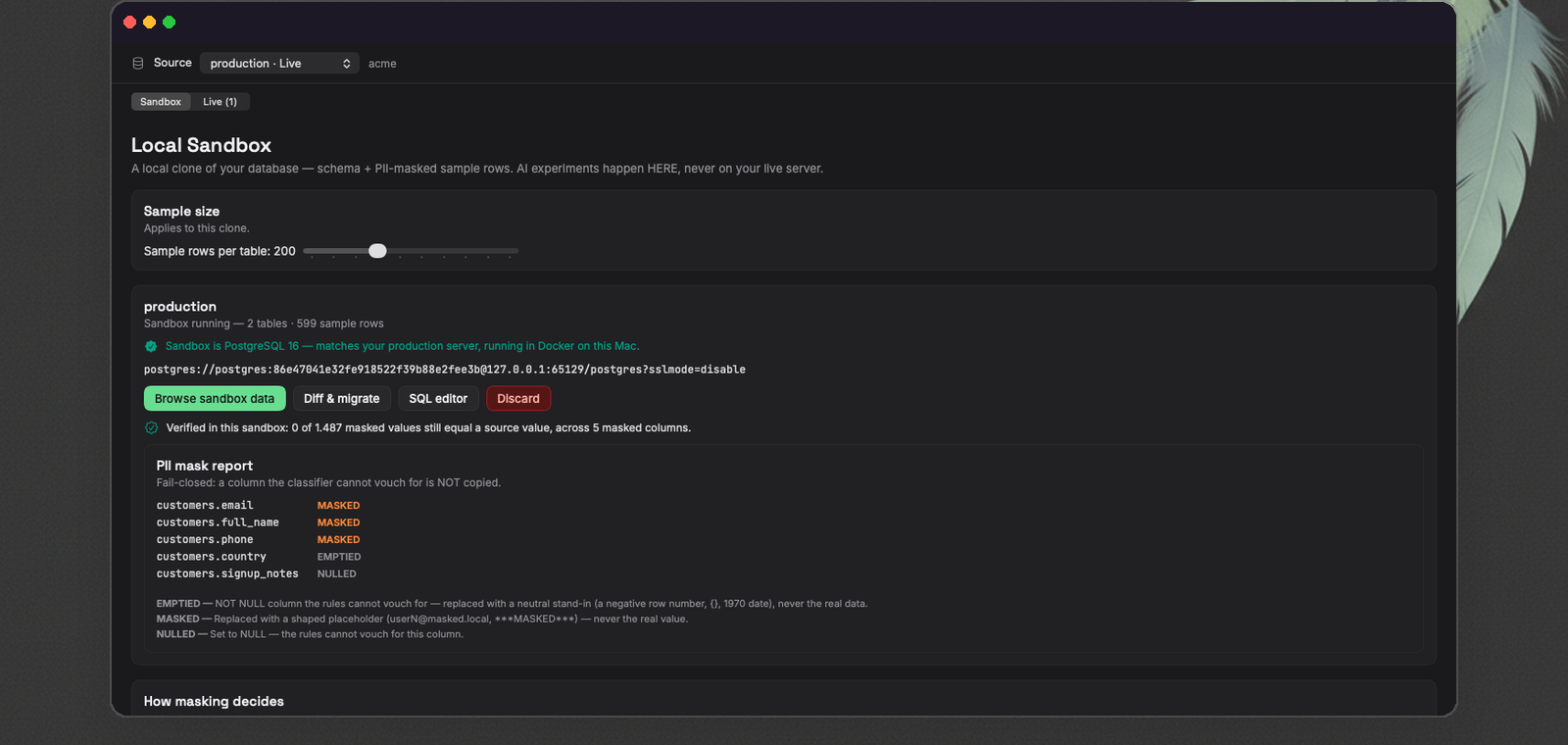 A running FeatherDB sandbox — PostgreSQL 16 in Docker, matching the production server — with its PII mask report: email, name and phone masked