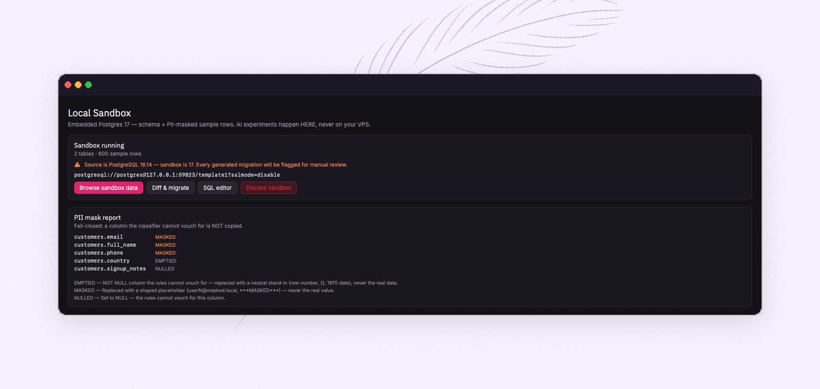 A running FeatherDB sandbox with its PII mask report: email, name and phone masked; country emptied; notes nulled