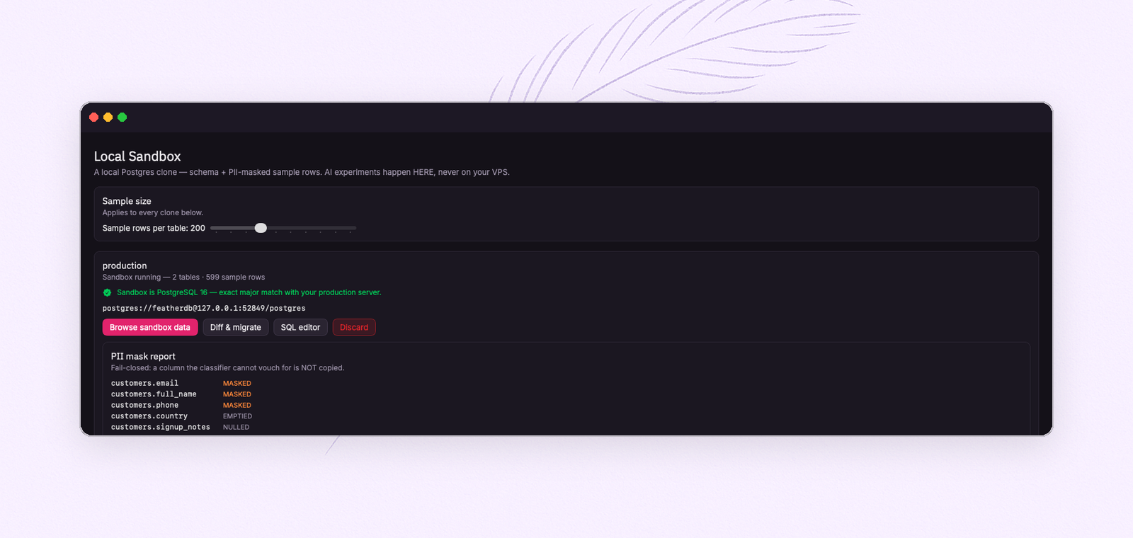 A running FeatherDB sandbox with its PII mask report: email, name and phone masked; country emptied; notes nulled