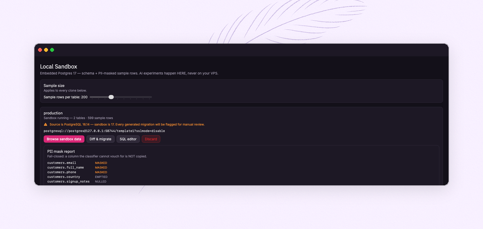 A running FeatherDB sandbox with its PII mask report: email, name and phone masked; country emptied; notes nulled