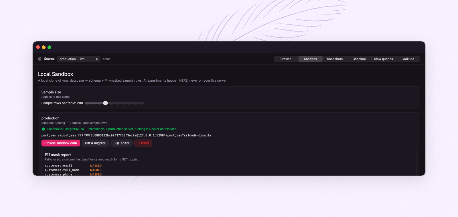 A running FeatherDB sandbox — PostgreSQL 16 in Docker, matching the production server — with its PII mask report: email, name and phone masked